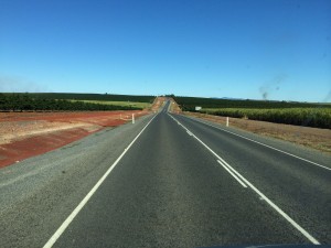 A long (winding) road