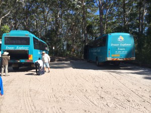 Der Bus rechts war unserer