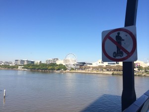 Blick zum Riesenrad in den South Bank Parklands